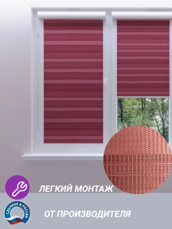 Рулонные шторы День-Ночь 52х120 см