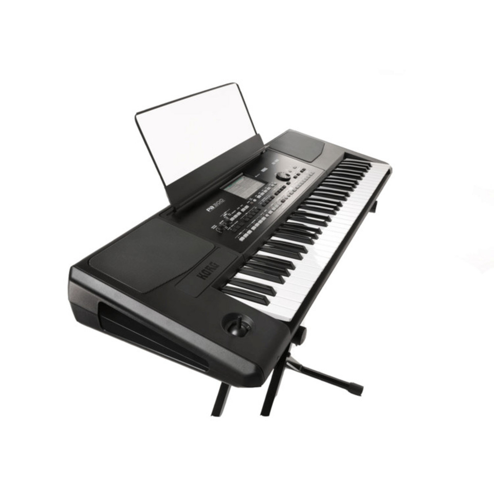 Korg PA300