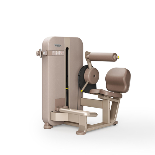 Разгибание спины Technogym Artis LOWER BACK Luxury