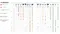 Зонт для кафе профессиональный Palladio Braccio, 3х4 м, имитация ироко, слоновая кость