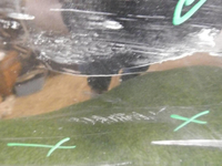 DSCN3448.jpg