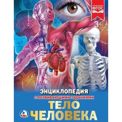 Энциклопедия с развив. заданиями А4 "Тело человека" 978-5-506-02168-1 (Умка)
