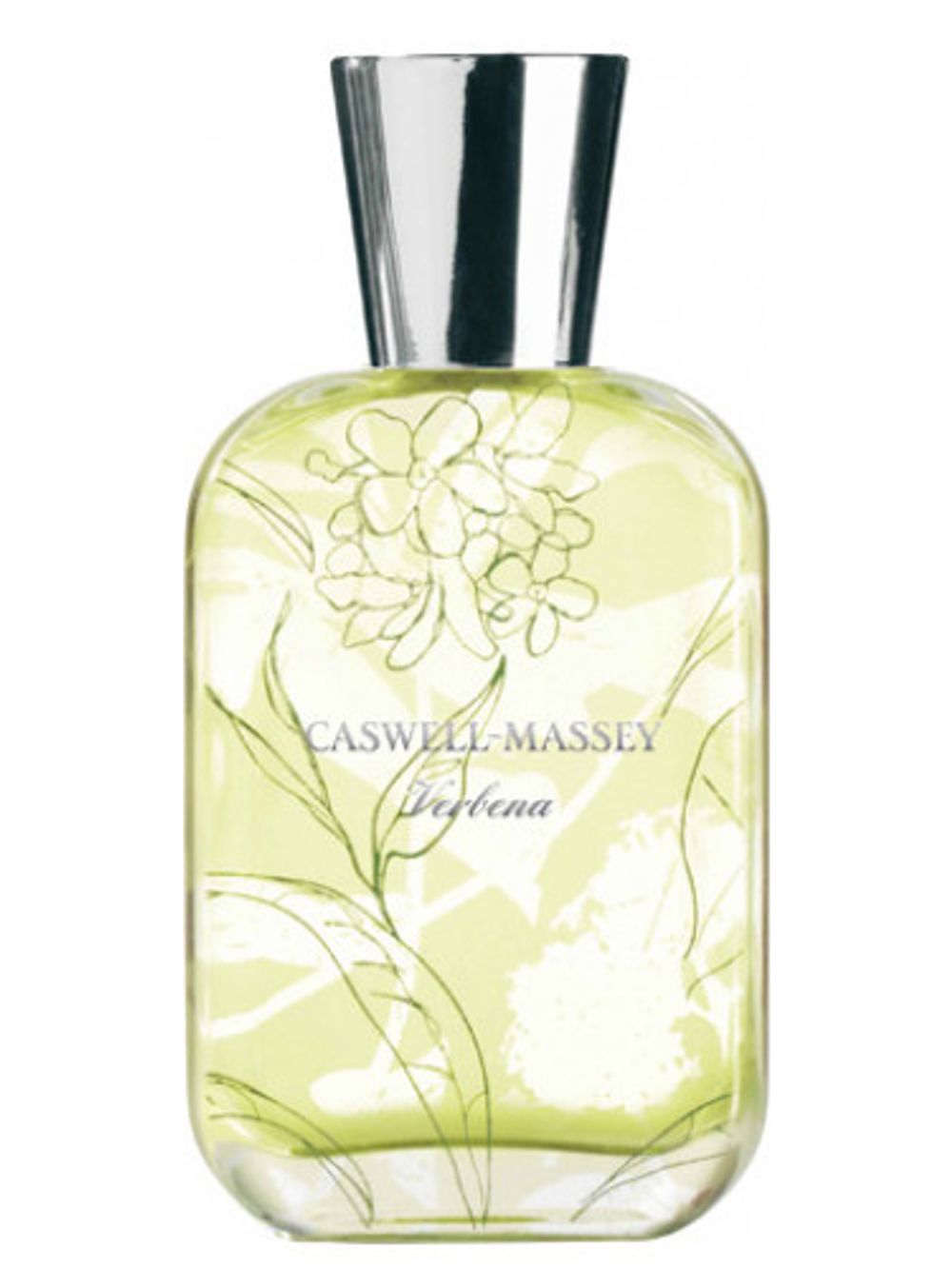 Caswell Massey Verbena
