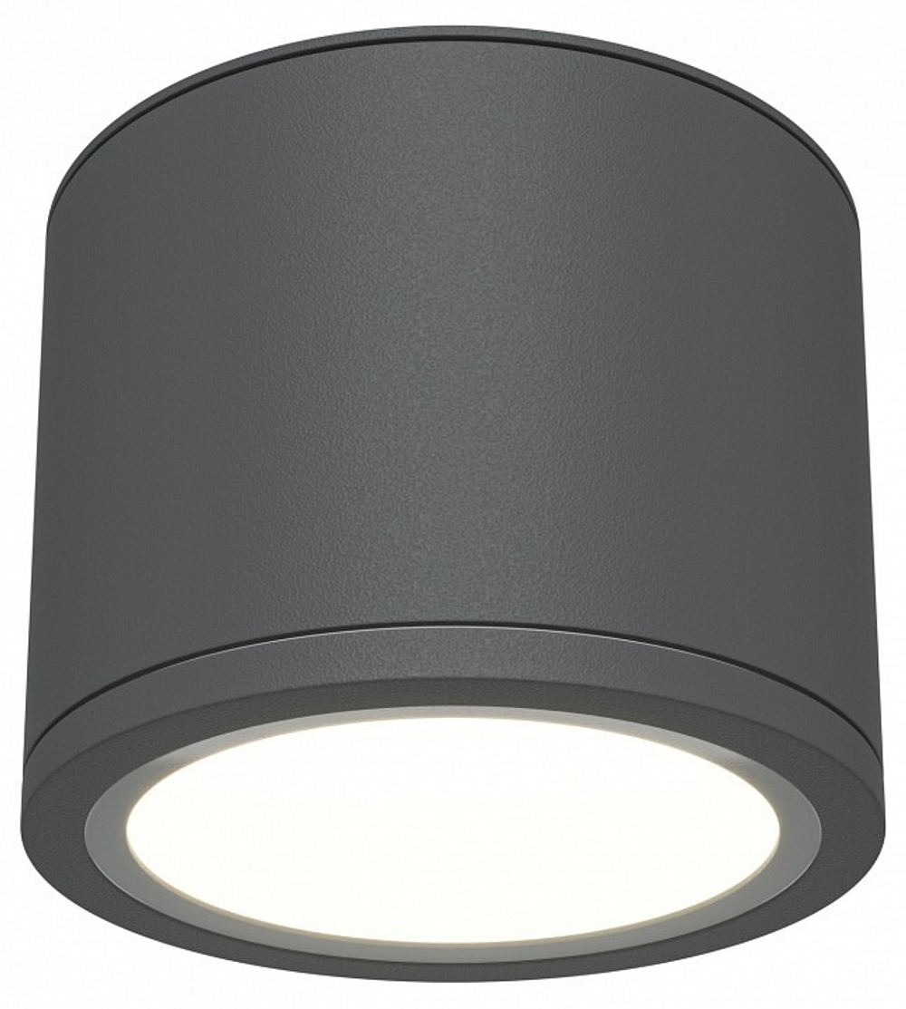 Накладной светильник Maytoni Rendo C095CL-GX53-GR