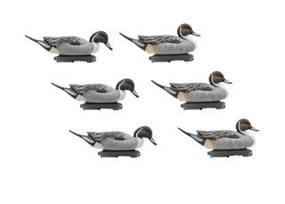 Шилохвость селезень "FA LIVE PINTAIL FLOATERS" (6 селезней)