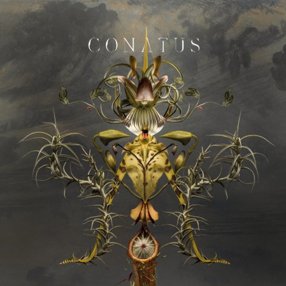 Joep Beving / Conatus (2LP) Joep Beving / Conatus (2LP)