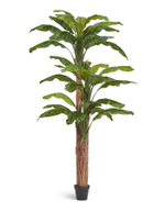 Банановое дерево в-280 см (31 лист и 3 ствола) (Sensitive Botanic) 1/1 10.0157210N