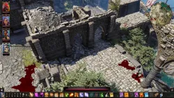 Divinity Original Sin Enhanced Edition PS4 PS5