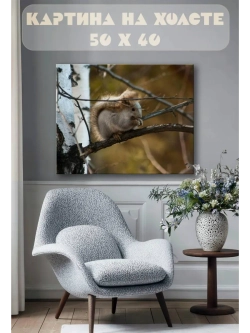 Картина на стену 40 X 50 Белка