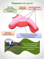 Комбинезон СПОРТ демисезонный 21Т размер (обхват груди 36 - 44)