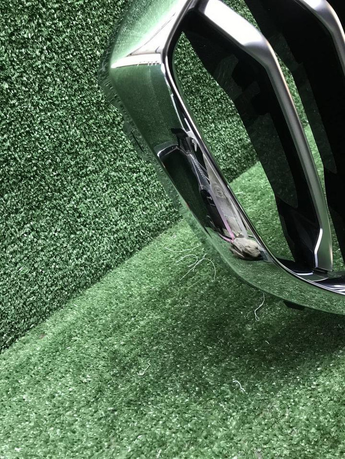 Решетка радиатора BMW X5 G05 (2018-2023)