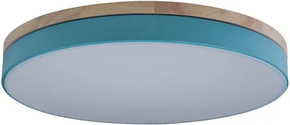 Потолочный светильник Axel 10001/36 Blue Loft It