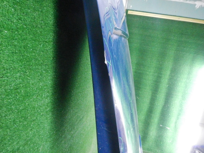 DSCN9798.JPG