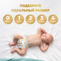 Подгузники Pampers Premium Care 1 66 шт