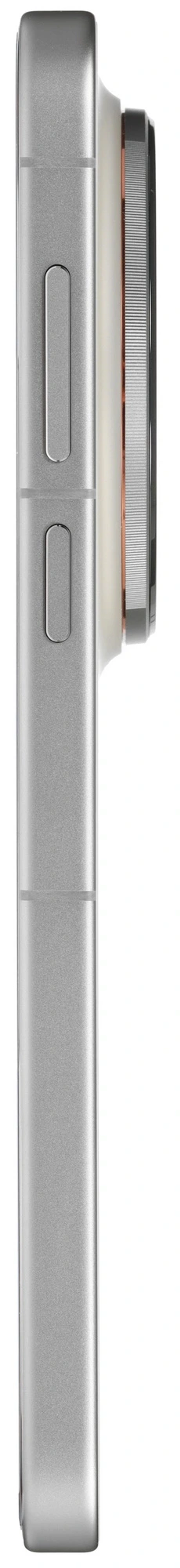 Смартфон Vivo X300 Pro 16/512 Гб 5G (Песчаный бархат)