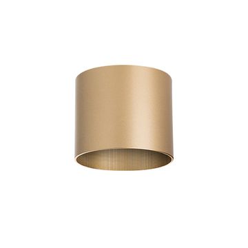 Накладной точечный светильник 1*GX53 213490 золото Rullo Lightstar