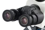 Микроскоп цифровой Levenhuk MED D45T, тринокулярный
