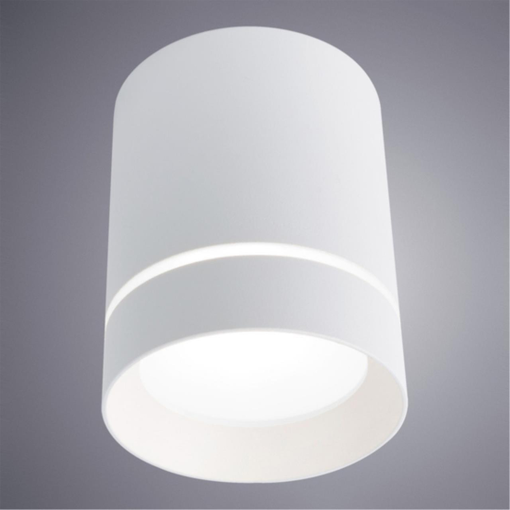 Накладной светодиодный светильник Arte Lamp ELLE A1909PL-1WH