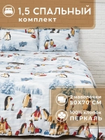 Постельное белье 1,5 спальное хлопок Холли-Бей нав 50х70