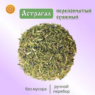 Астрагал перепончатый.