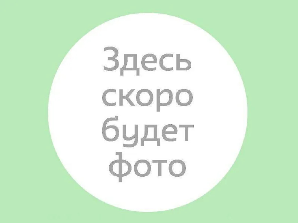 Петуния Petunia Mini Vista Blue Violet ЕВРО укорененный черенок ЯНВАРЬ 27 поставка 12