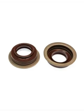 Сальник хвостовика 733.480 25x40x15 SP FPM 0750112253 Elring
