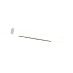 Светильник настенный ST Luce SL439.531.01