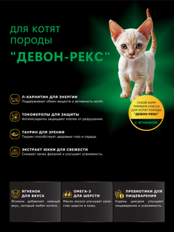 Корм сухой для котят породы Девон-рекс, с ягненком, 2 кг, QUATTRO