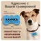 Адресник металлический для собак с гравировкой в виде косточки 38*25мм, голубой, медальон для кошек