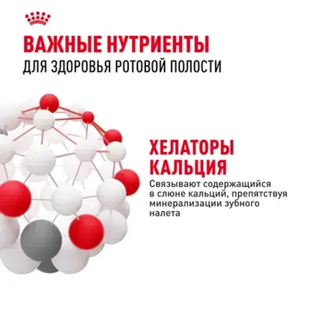 ROYAL CANIN (Роял Канин) Dental Care Корм сухой для взрослых кошек для профилактики образования зубного налета и зубного камня, 400 г