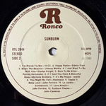 Sunburn - 22 'Blazing' Disco Hits Including The Original Soundtrack (Англия 1980г.)