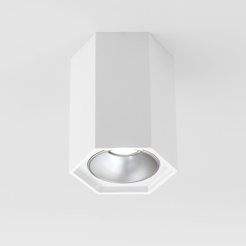 Накладной светодиодный светильник Elektrostandard 25036/LED 25036/LED 7W 4200K белый матовый/серебро