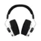 Final Audio D8000 DC Pro Edition Silver
