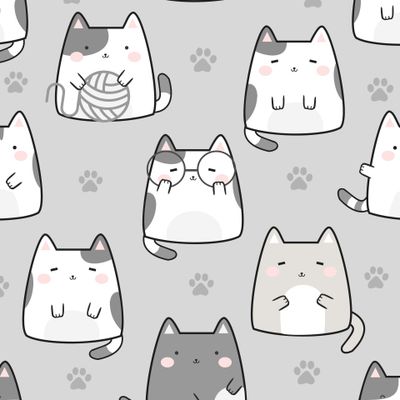 котики