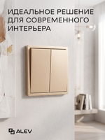 Выключатель двухклавишный внутренний Оптима с рамкой золотой
