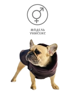 Попона для французского бульдога мопса