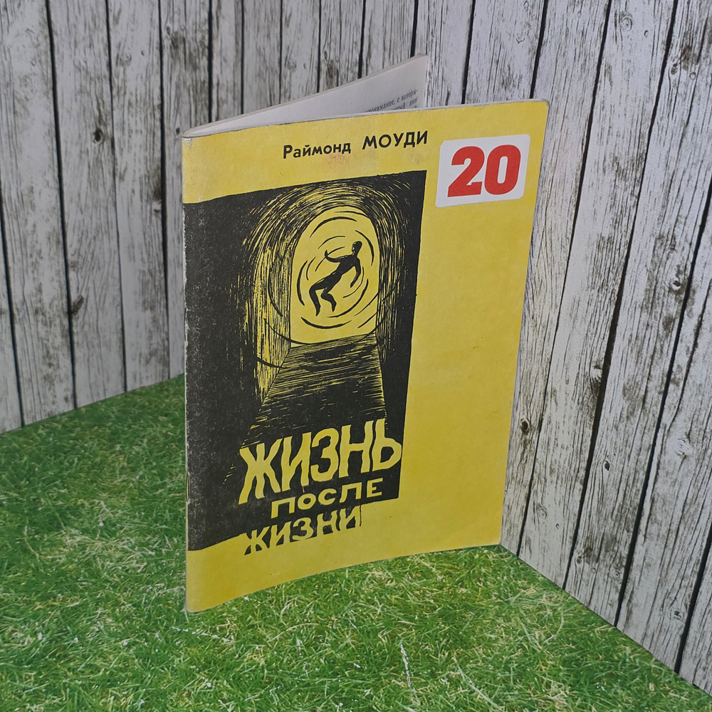 книга "Жизнь после жизни. Исследование феномена продолжения жизни после смерти тела"
