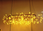 Люстра MOOOI Heracleum 3