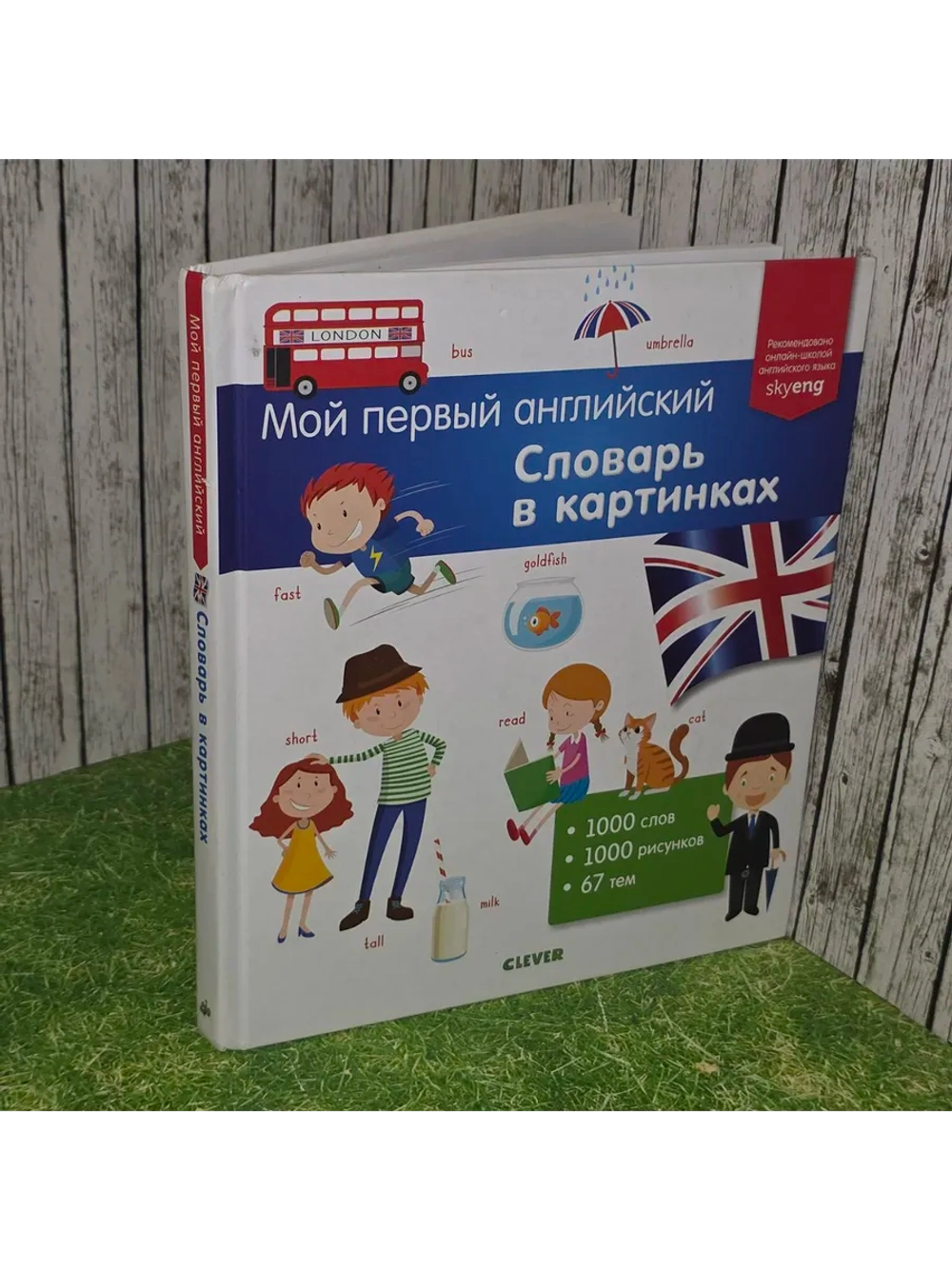 Мой первый английский. Словарь в картинках