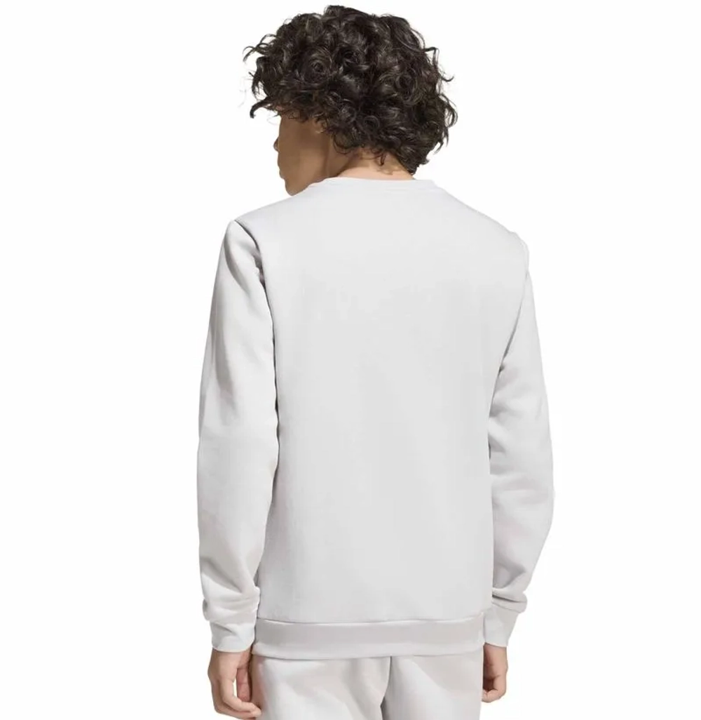 Кофта для мальчика теннисная Adidas Kids Entrada 26 Sweat Top - team light grey/white