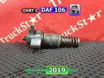 PLD секция 2019г.