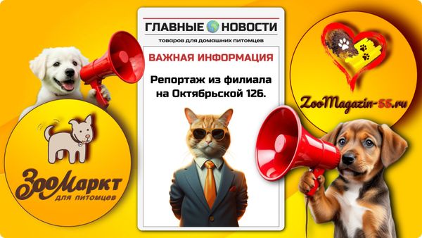 Мокрый репортаж из магазина на Октябрьской д.126.
