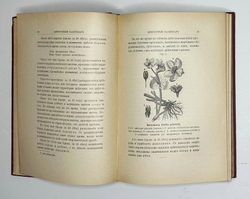 Кайгородов. Д. Из зелёного царства.Популярные очерки из мира растений. СПб., 1912