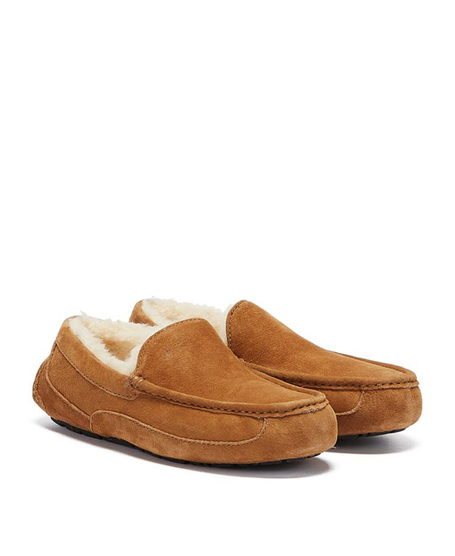 ASCOT MENS chestnut