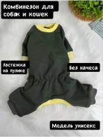 Комбинезон для собак и кошек