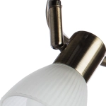 Спот Arte Lamp PARRY A5062PL-3AB, 3хE14