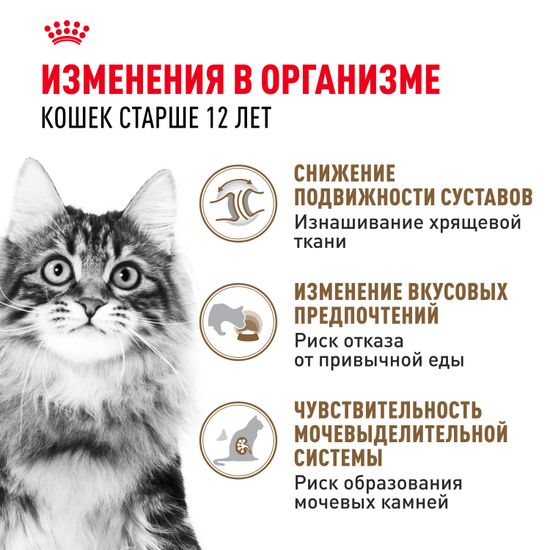Royal Canin Ageing +12 влажный корм В СОУСЕ для пожилых кошек старше 12 лет с первыми признаками старения