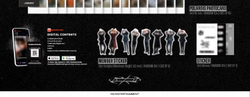 Альбом ATEEZ - THE WORLD EP.FIN : WILL 2nd Album PLATFORM 8 Version SET