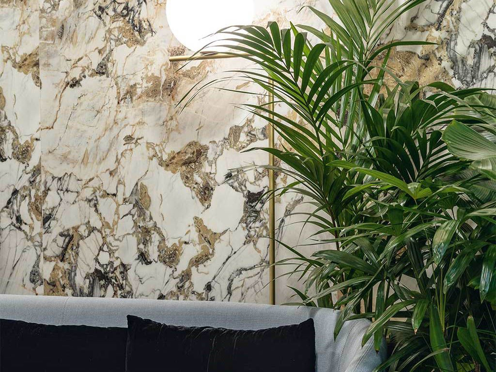 Etoile de REX