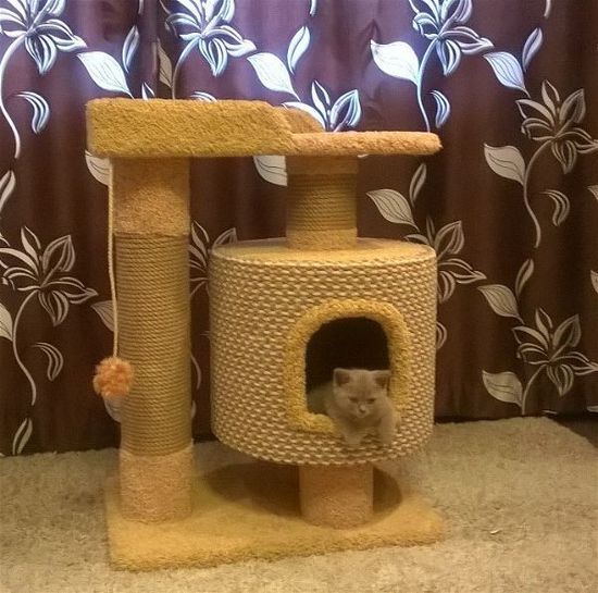 Домик для кота Д-6